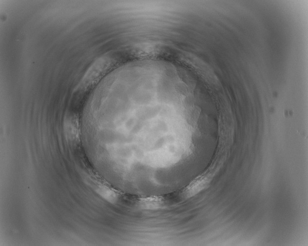 X0000070360240200606091039