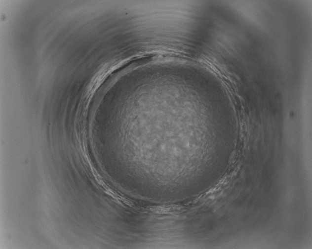 X0000070360241200606091038