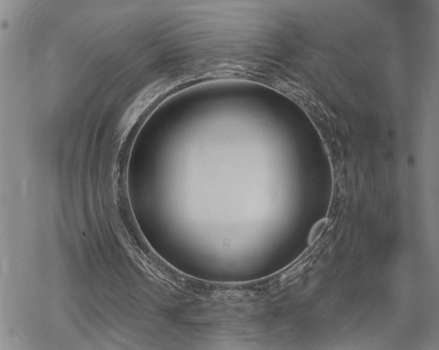 X0000070360242200606091038