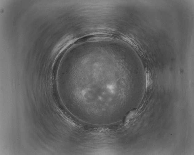 X0000070360243200606091038