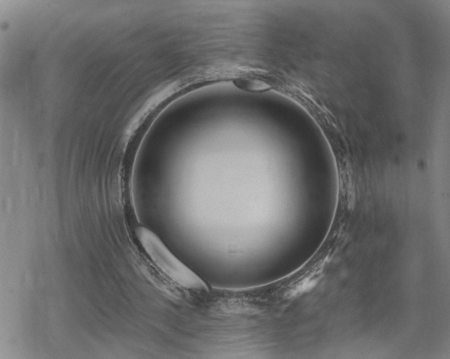 X0000070360244200606091038