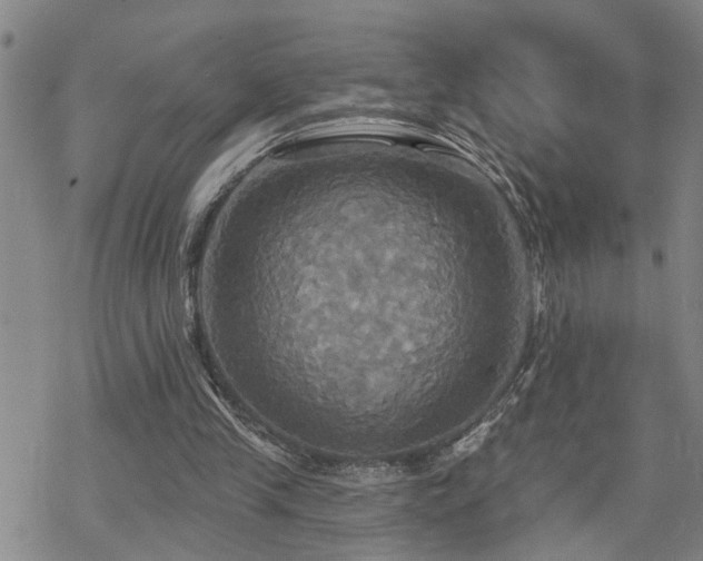 X0000070360245200606091038