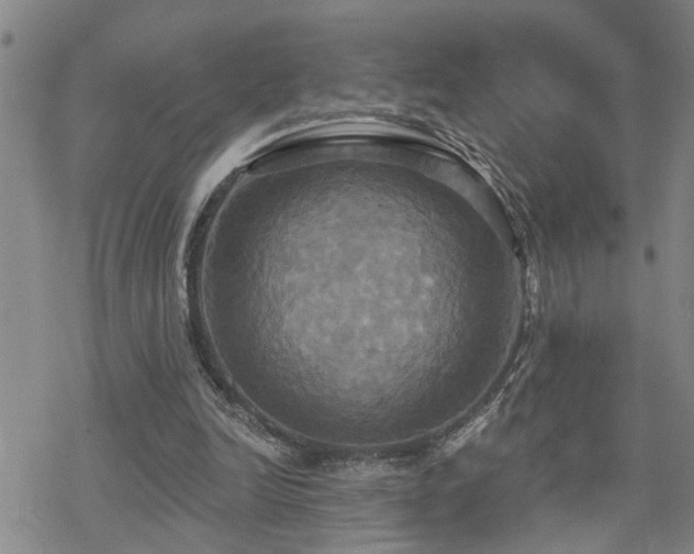 X0000070360246200606091039