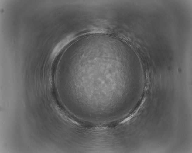 X0000070360247200606091039