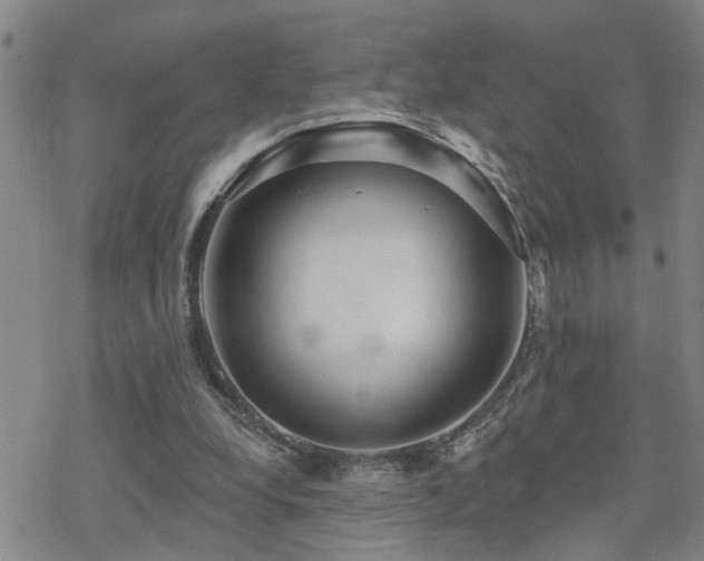 X0000070360248200606091039