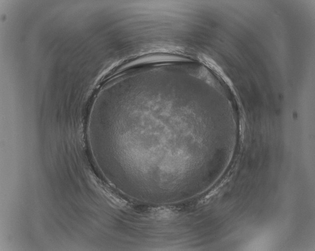 X0000070360249200606091039