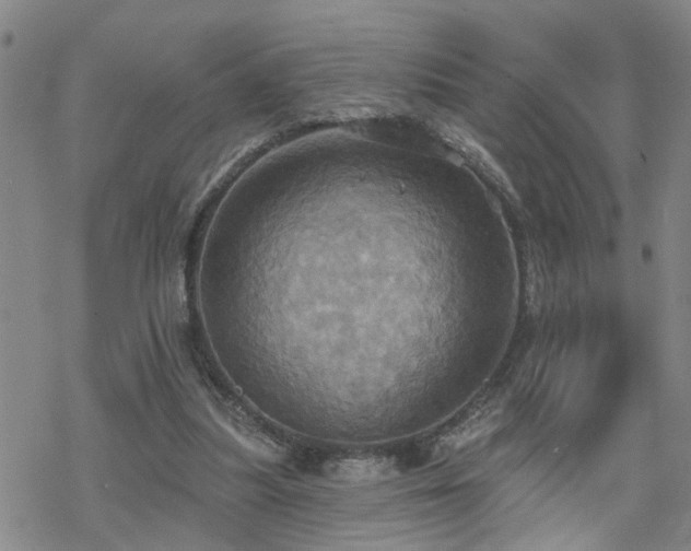 X0000070360251200606091039