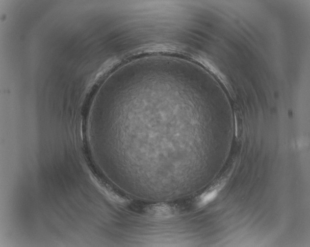 X0000070360253200606091039