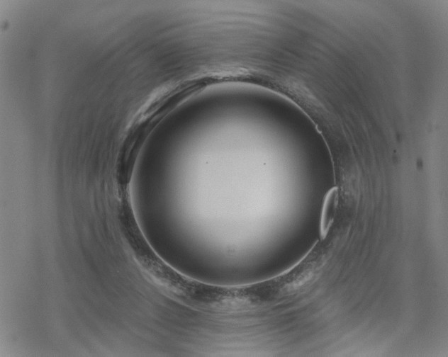 X0000070360256200606091039