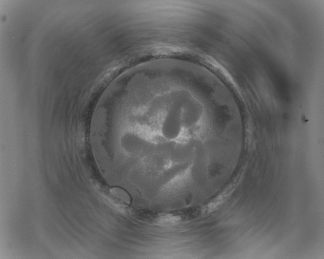 X0000070360257200606091039