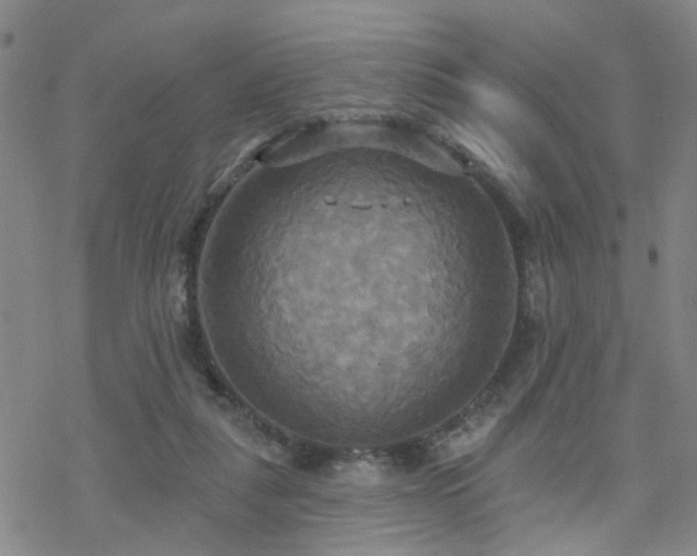 X0000070360259200606091039