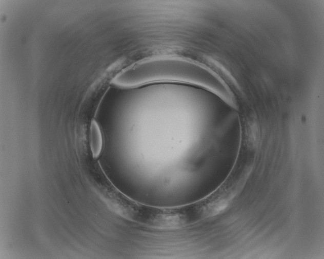 X0000070360260200606091039