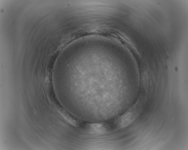 X0000070360265200606091039