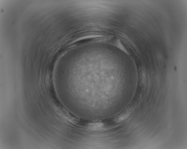 X0000070360266200606091039