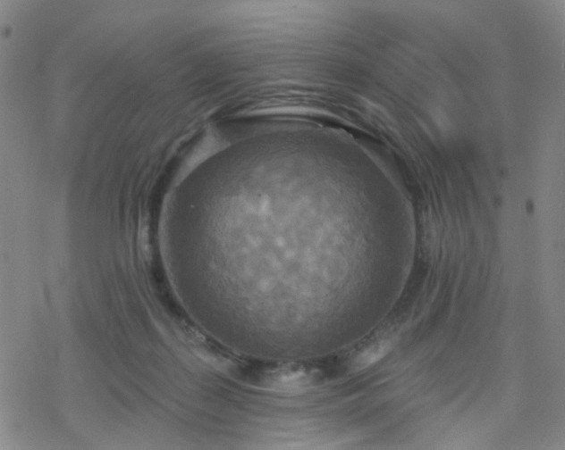 X0000070360267200606091039