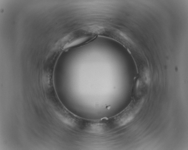 X0000070360268200606091039