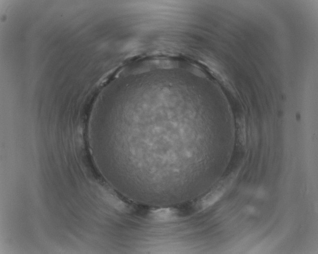 X0000070360269200606091039