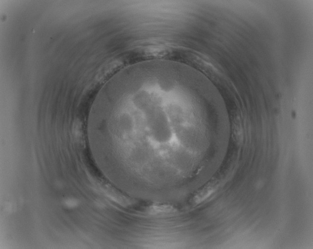 X0000070360270200606091039