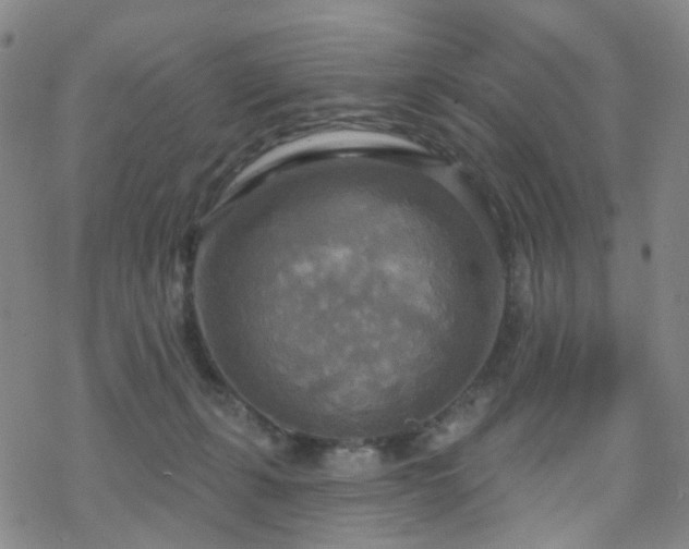 X0000070360271200606091039