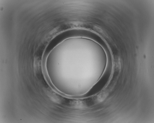 X0000070360276200606091039