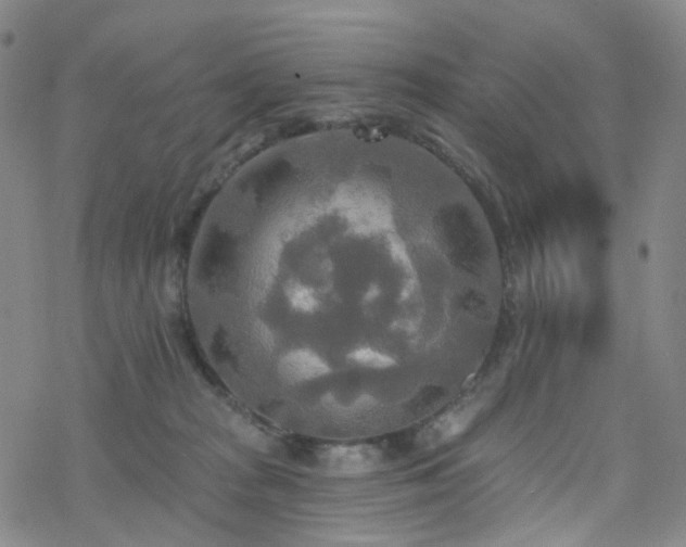 X0000070360277200606091039