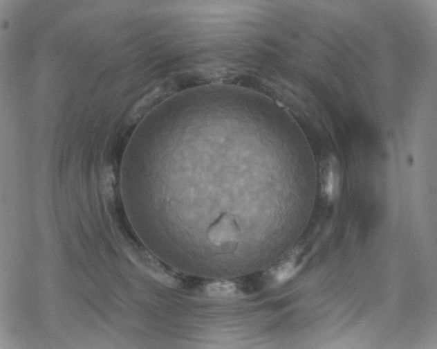 X0000070360279200606091039