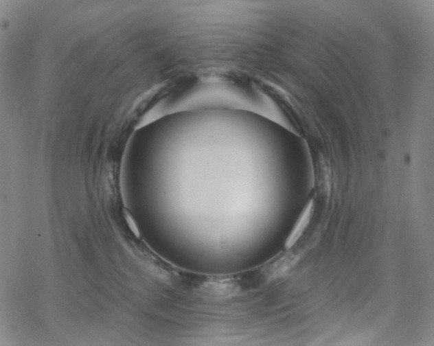 X0000070360280200606091039