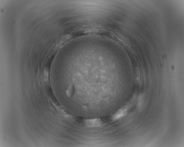 X0000070360281200606091039