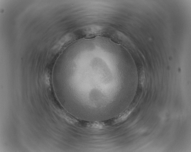 X0000070360282200606091039