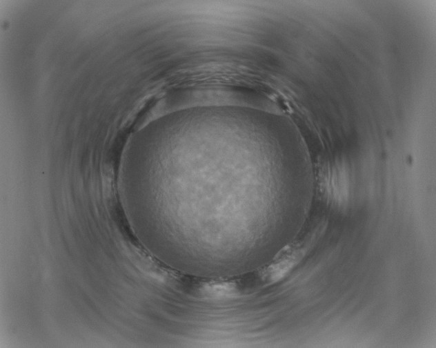 X0000070360283200606091039