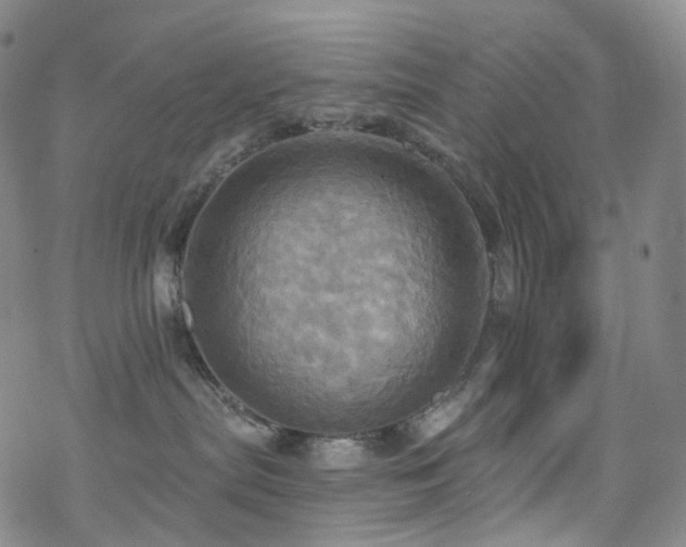 X0000070360287200606091039