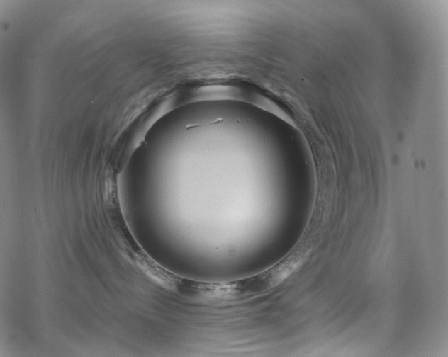 X0000070360288200606091039