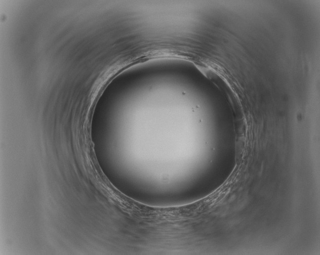 X0000070360289200606091038