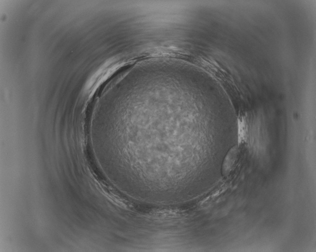 X0000070360291200606091038