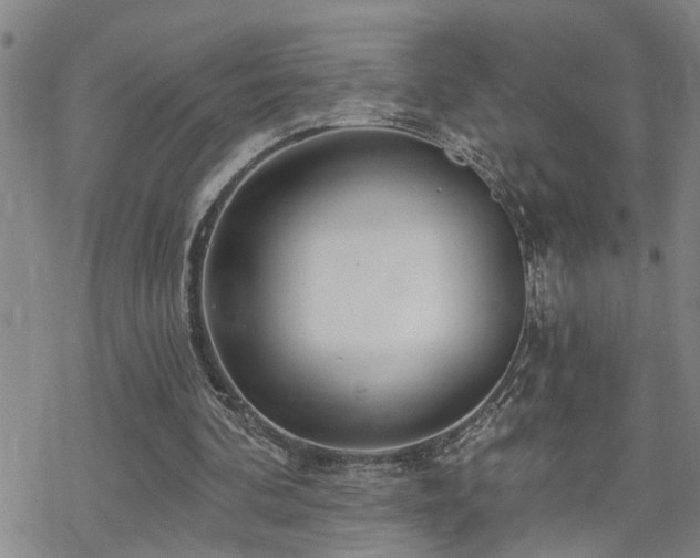 X0000070360292200606091038