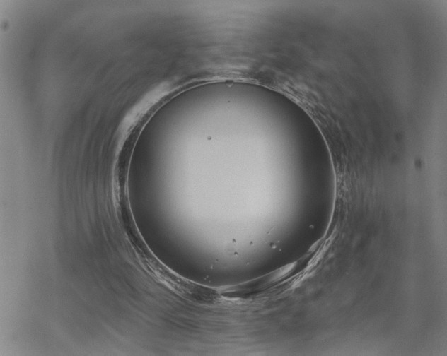 X0000070360294200606091038