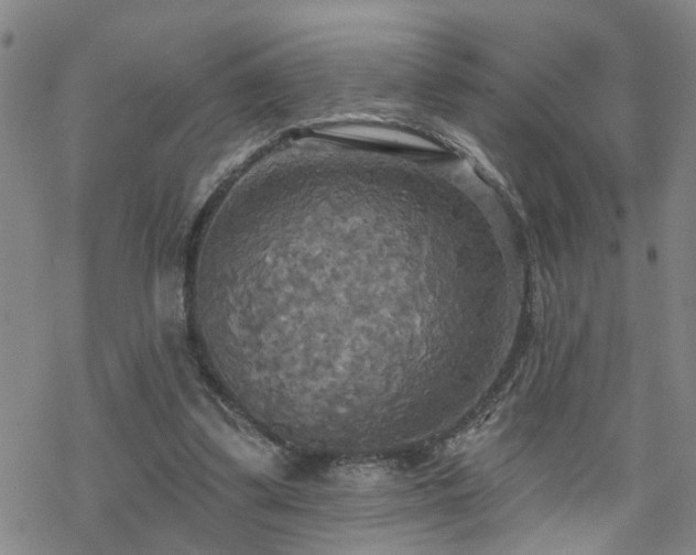 X0000070360299200606091038