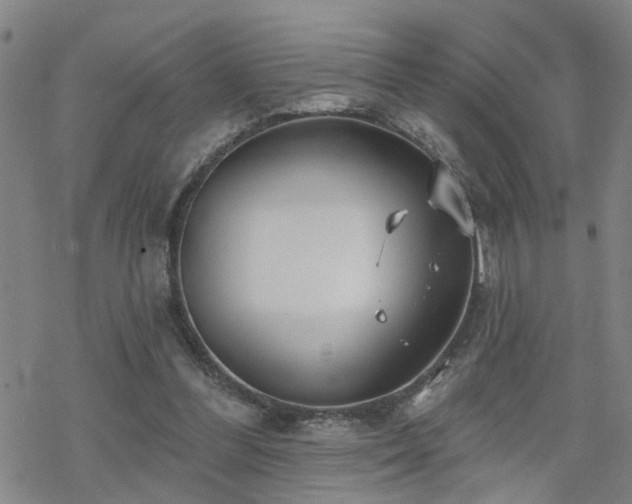 X0000070360300200606091038