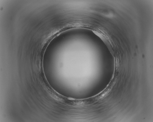 X0000070360301200606091038