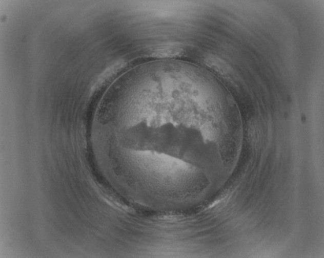 X0000070360303200606091038