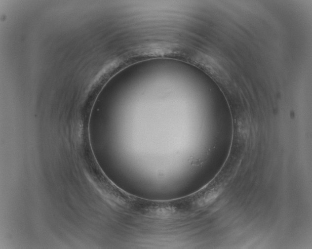 X0000070360304200606091038