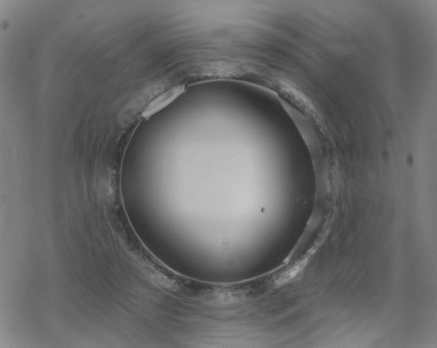 X0000070360305200606091038