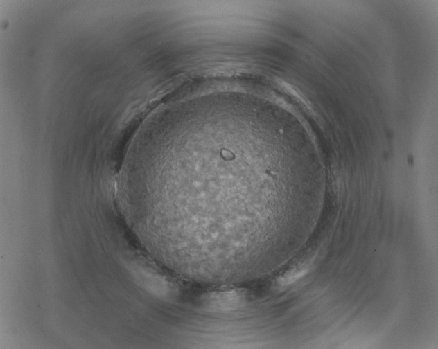 X0000070360307200606091038