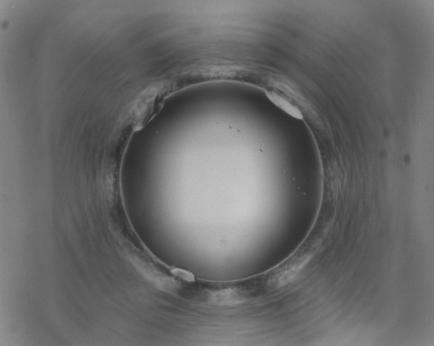 X0000070360309200606091038