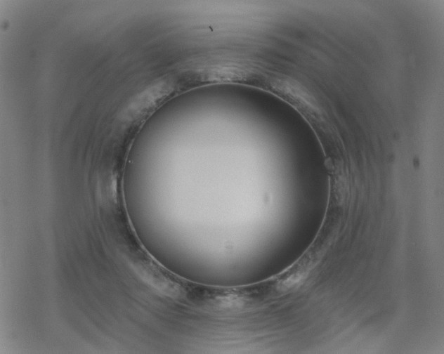 X0000070360310200606091038