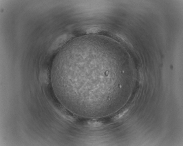 X0000070360311200606091038