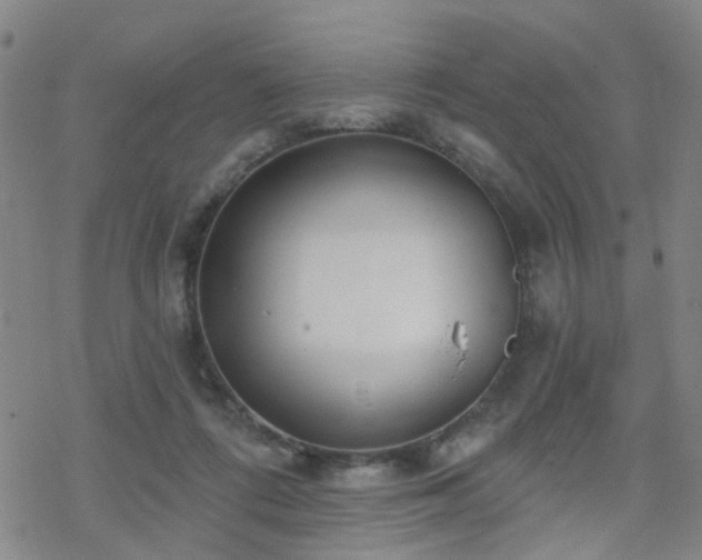 X0000070360312200606091038