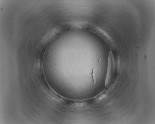 X0000070360314200606091038