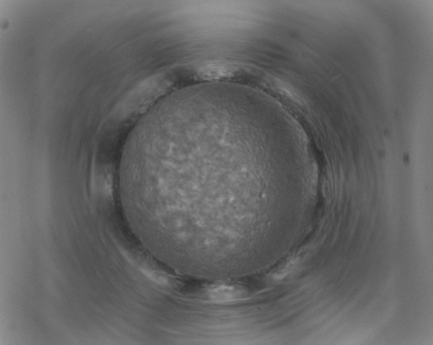 X0000070360315200606091038