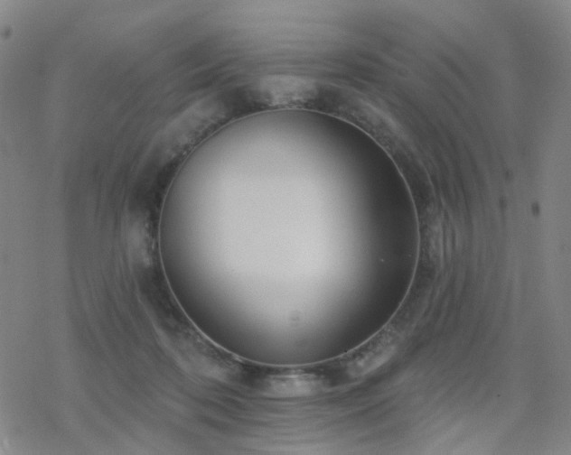 X0000070360316200606091038